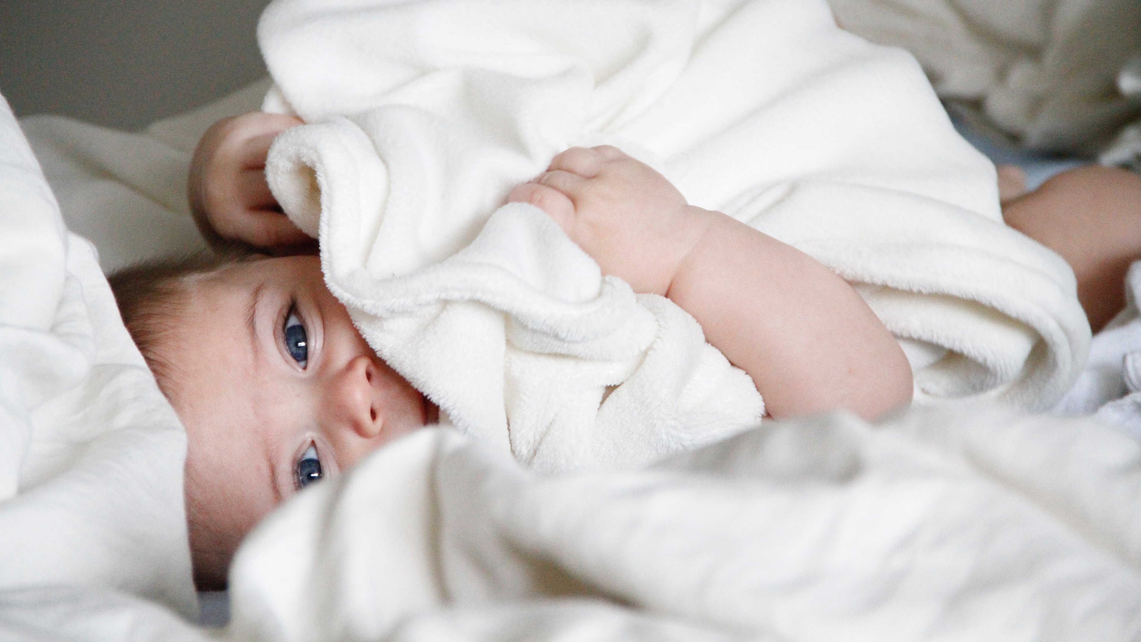 石家庄助孕公司机构试管婴儿受精卵着床成功率
